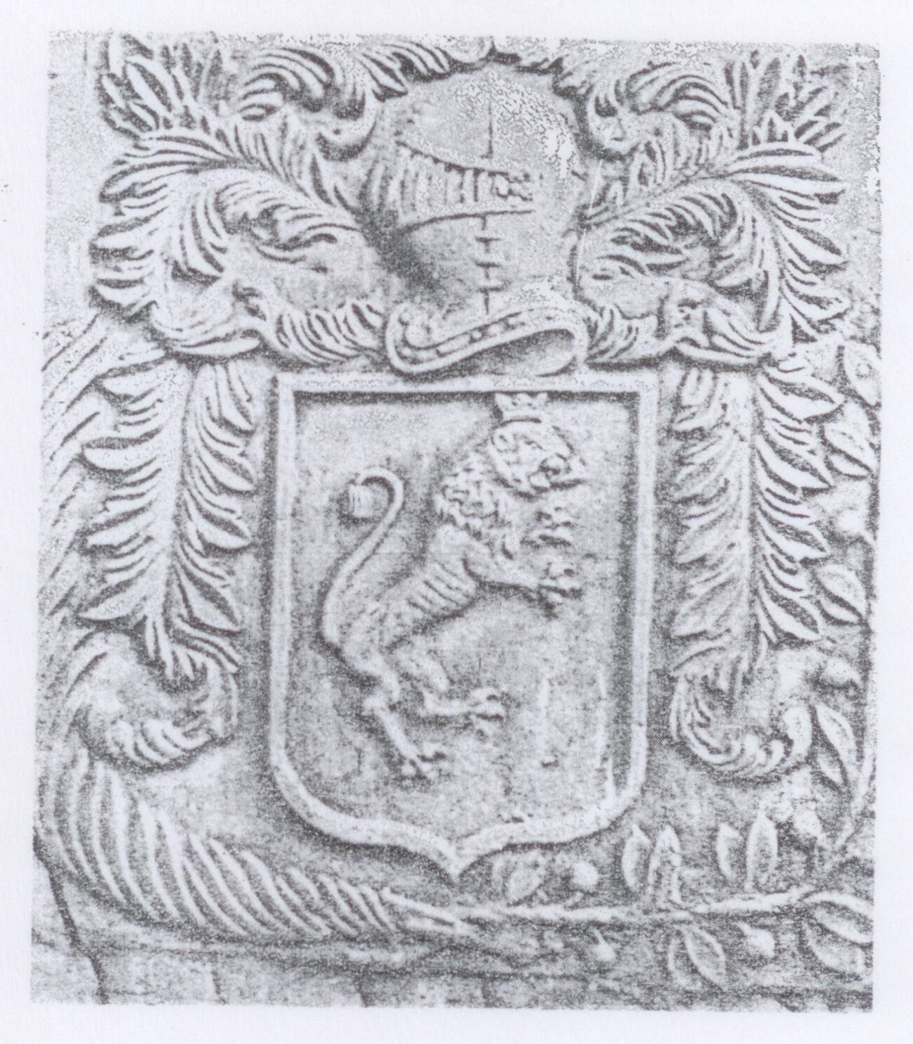 Photographie d'un blason sculpté dans la pierre : écu au lion dressé, surmonté d'un heaume et entouré de feuillages