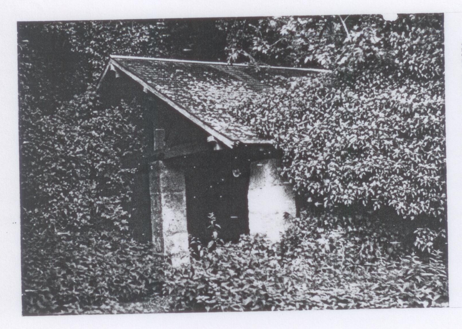 Photographie du lavoir de Valavergny : petit bâtiment de pierre au toit de tuiles moussu, au milieu de la végétation