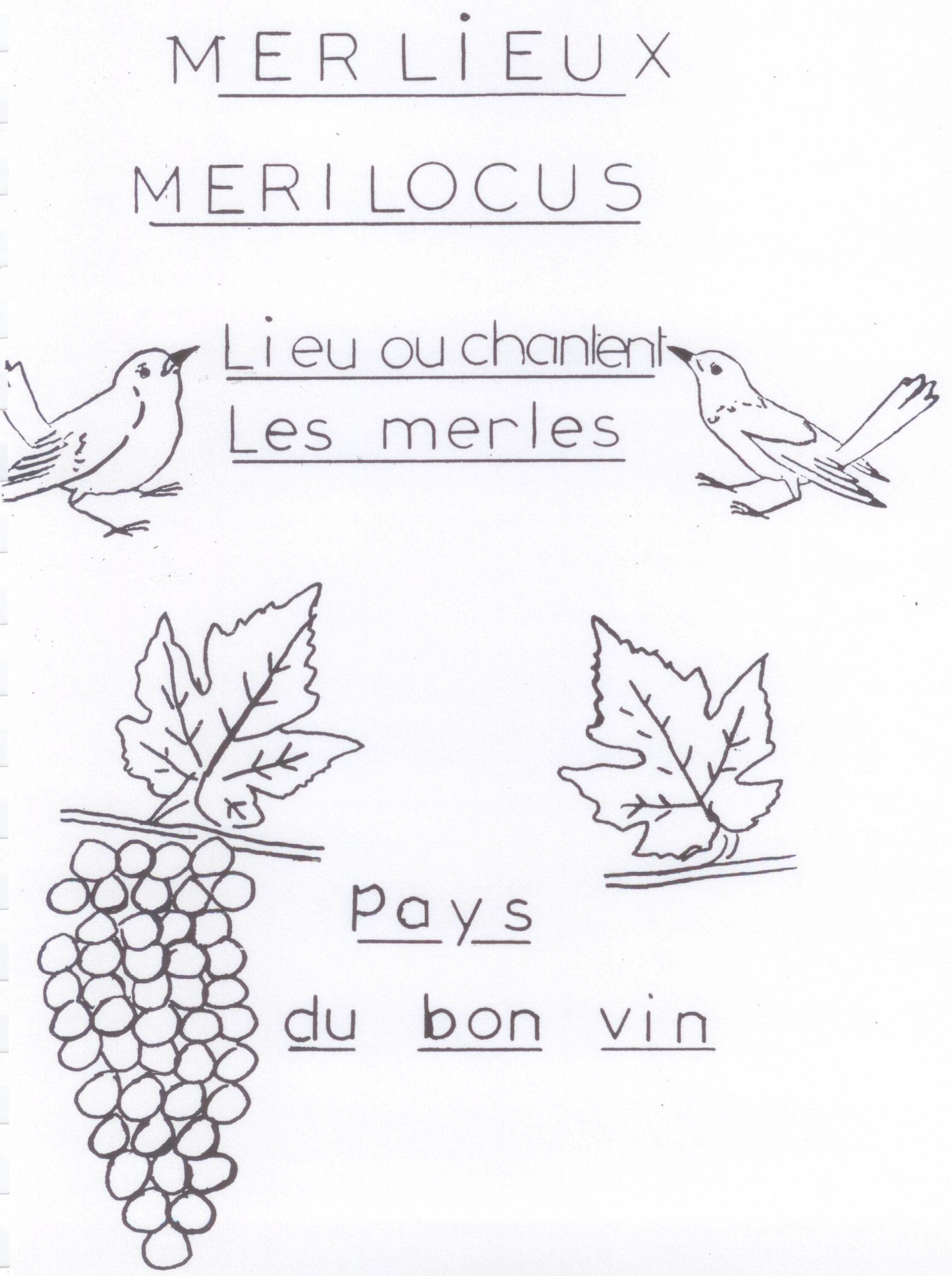Dessin : deux merles encadrant l'inscription « Merlieux, Merilocus, lieu où chantent les merles », au-dessus de feuilles de vigne et d'une grappe de raisin avec la mention « Pays du bon vin »