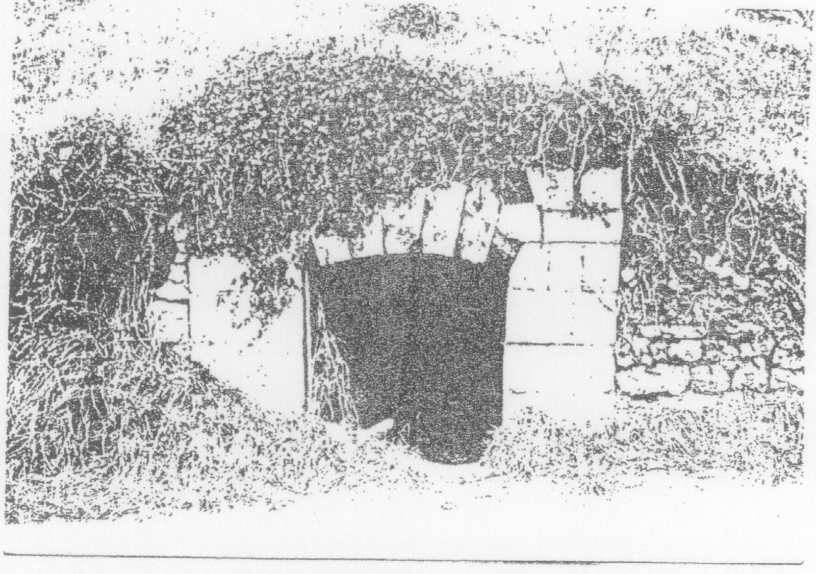 Porte voûtée en pierre taillée dans un mur, envahie par la végétation