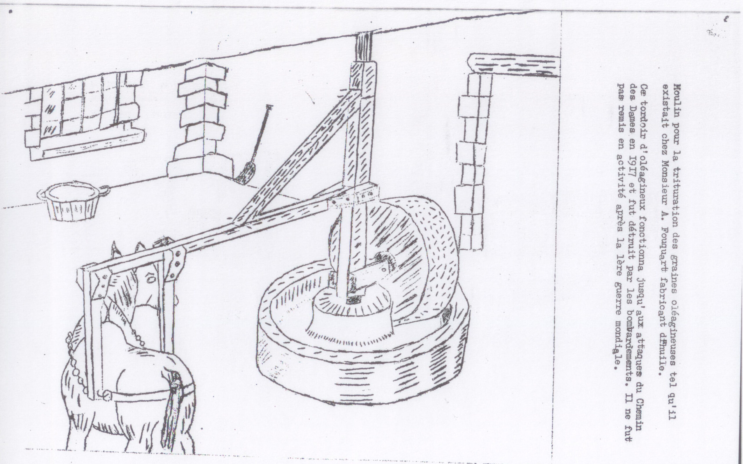 Dessin de l'intérieur d'un tordoir : meule verticale dans une auge en pierre, actionnée par un cheval attelé à un bras en bois, murs de pierre et fenêtre
