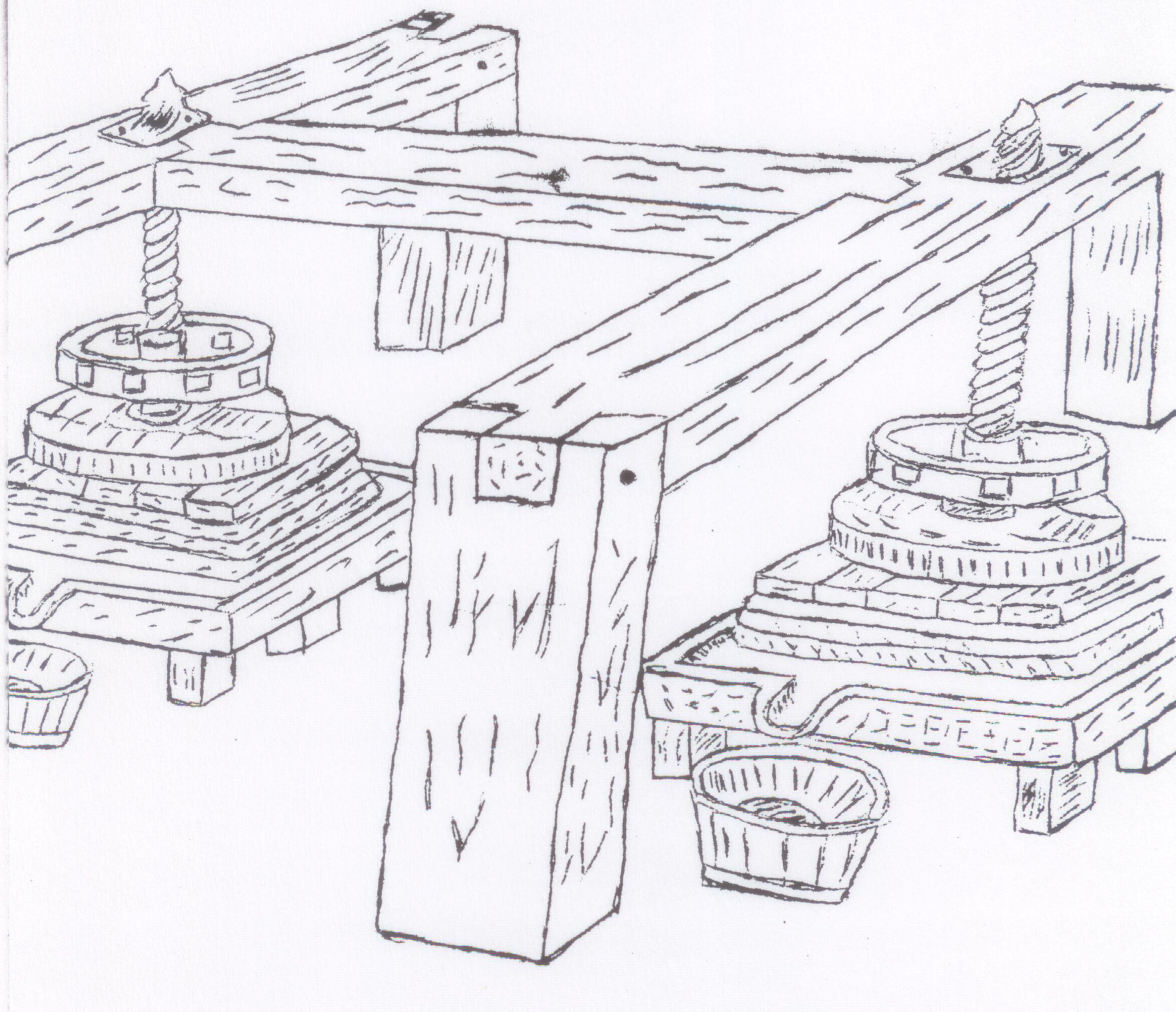 Dessin d'un pressoir double : deux vis sous une grande poutre en bois, maies chargées de planches et baquets