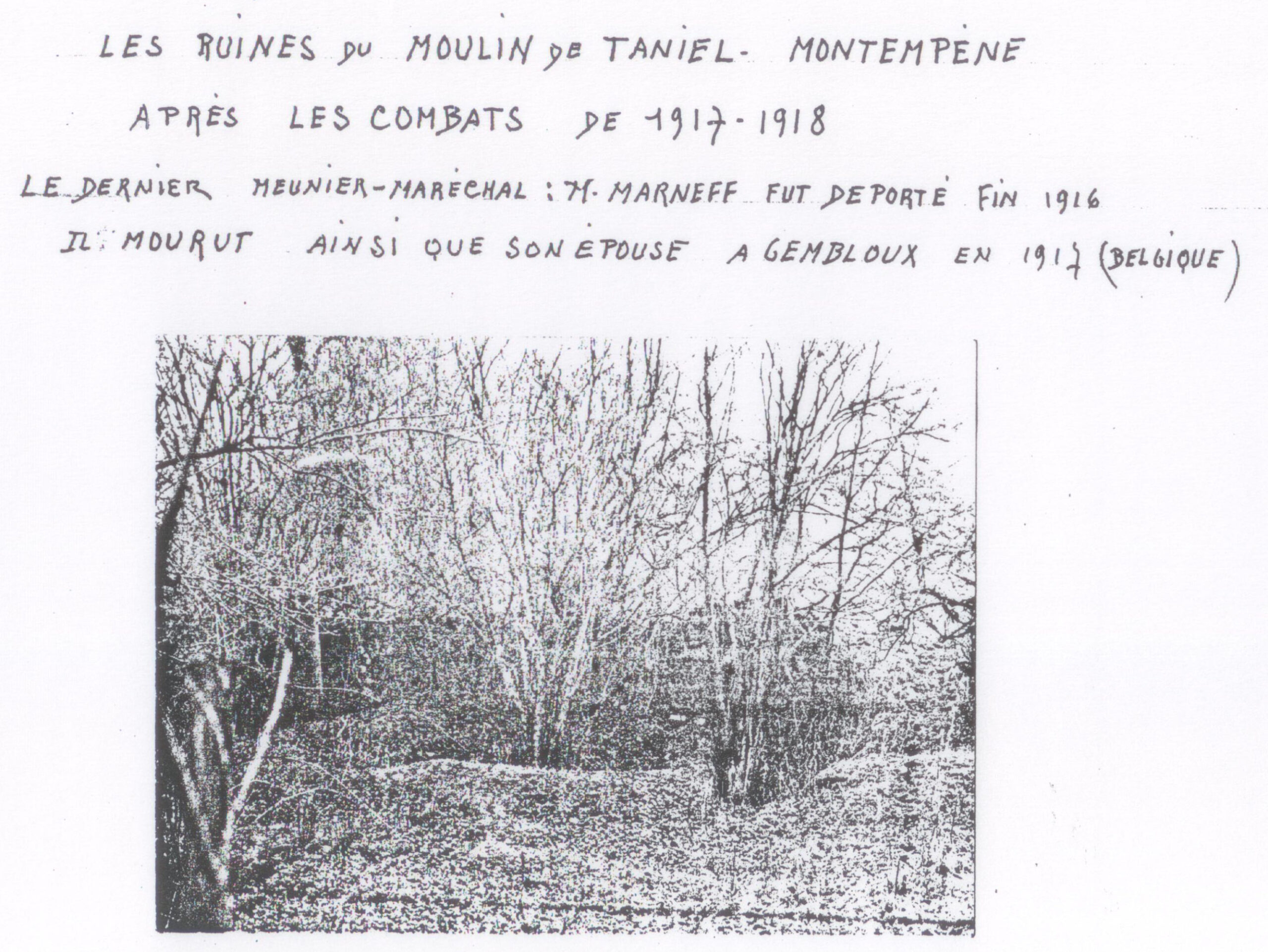 Photographie d'un sous-bois aux arbres dénudés avec des buttes de terre, sous une légende manuscrite