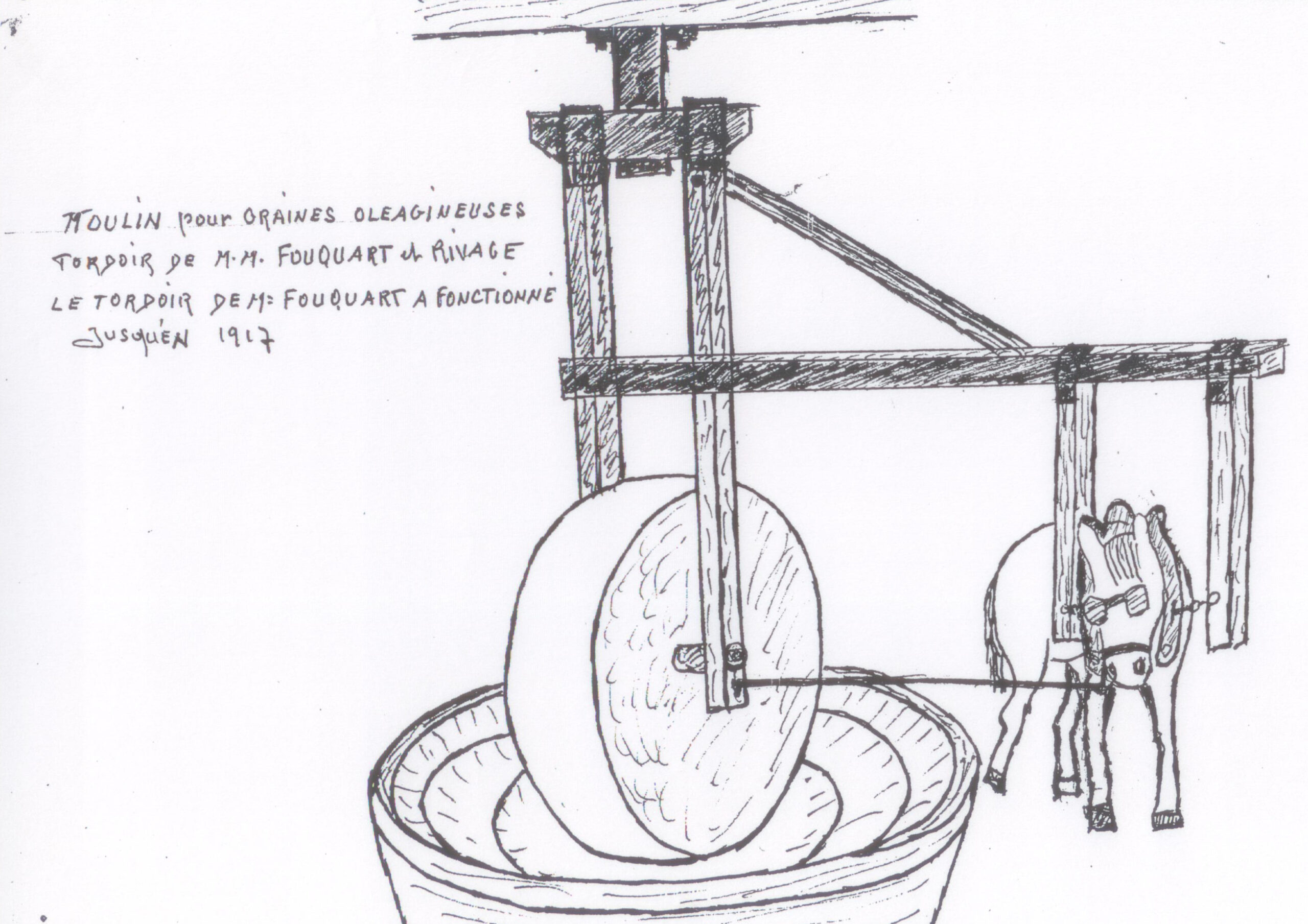 Dessin d'un moulin à graines oléagineuses : grande meule verticale roulant dans une auge circulaire, entraînée par un cheval aux yeux bandés, sous une charpente en bois